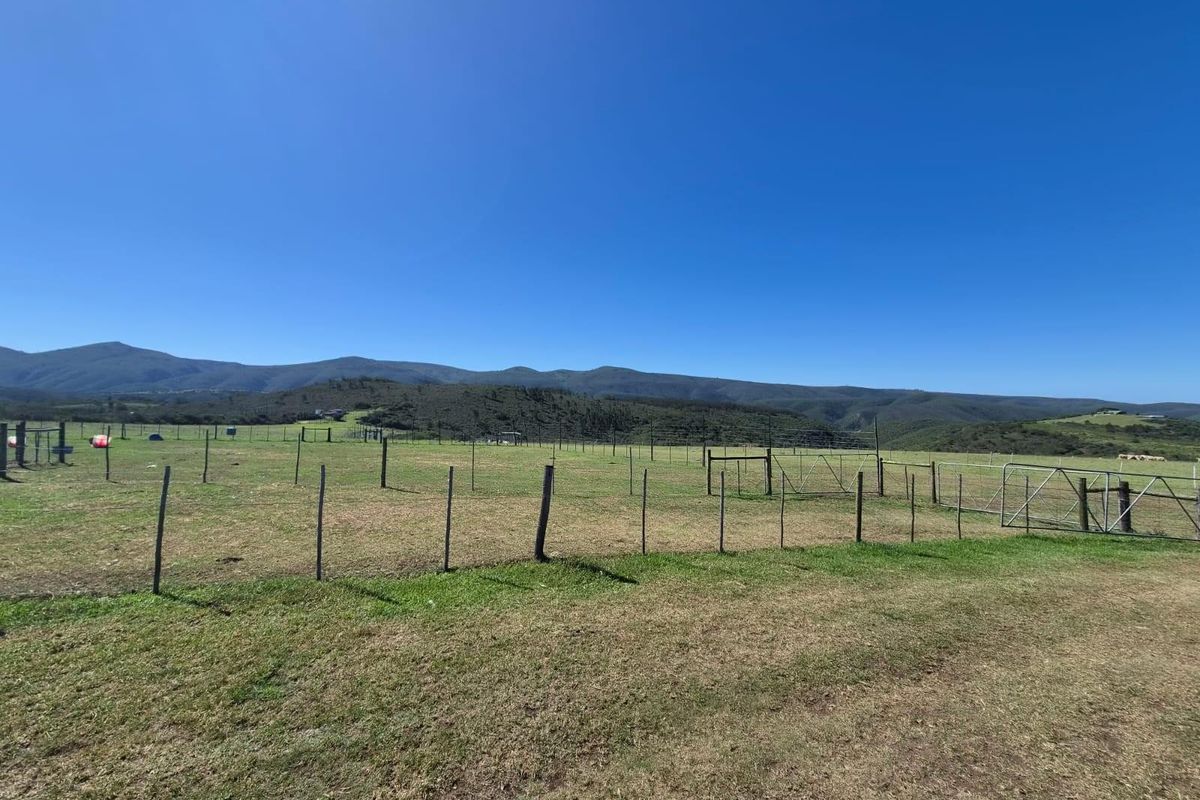 Farm with spectacular view for sale - Photo 3