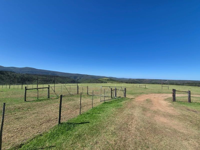 Farm with spectacular view for sale - Photo 2