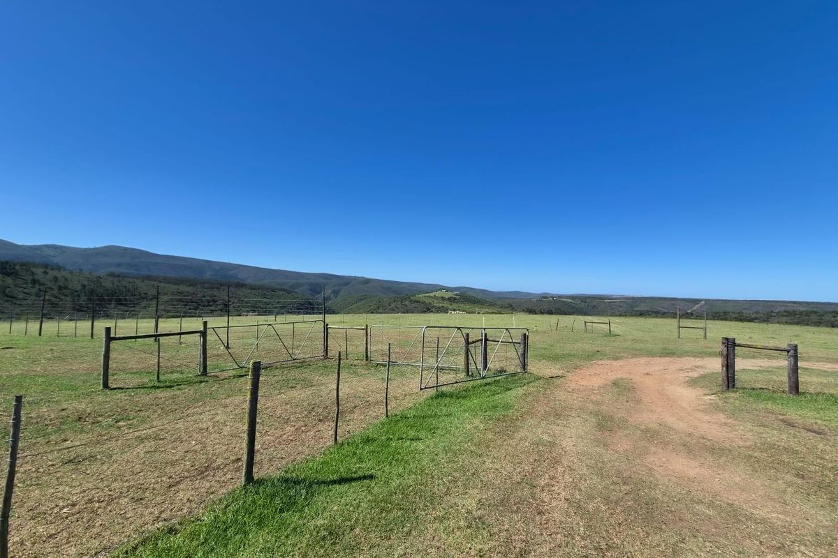 Farm with spectacular view for sale - Photo 2