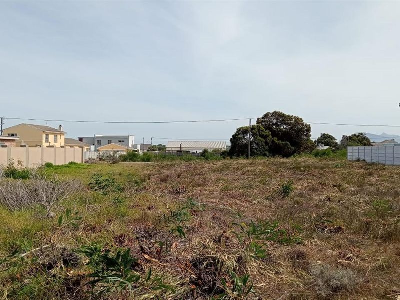 Rare Double-Stand Sanctuary in Fisherhaven -  Space Meets Opportunity - Photo 6