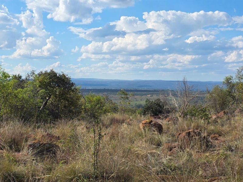 A scenic, elevated view overlooking a vast natural landscape with native vegetation and distant hills under a bright, cloudy sky.