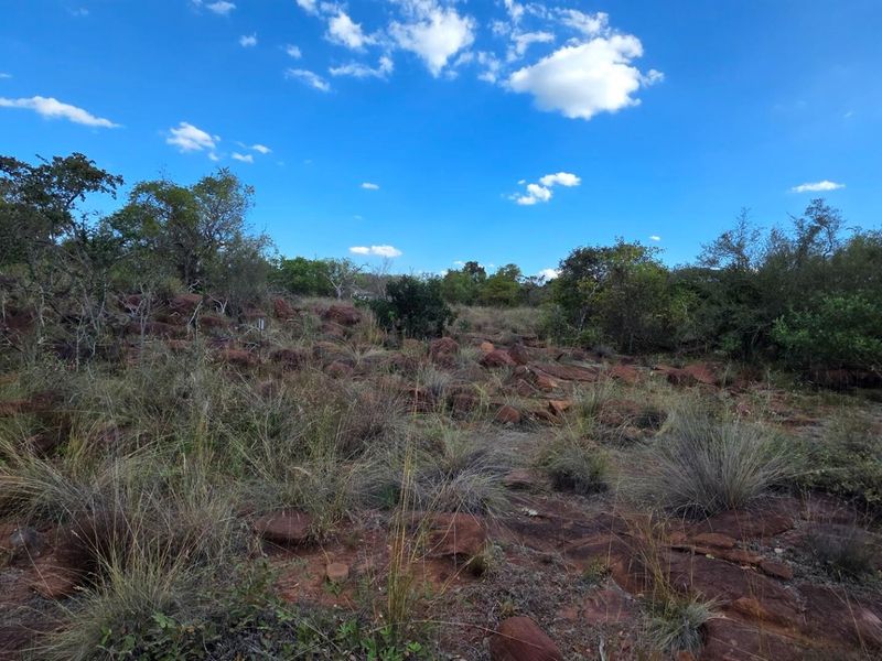 A view of the natural, undeveloped residential land featuring indigenous vegetation and rocky terrain under a clear blue sky.