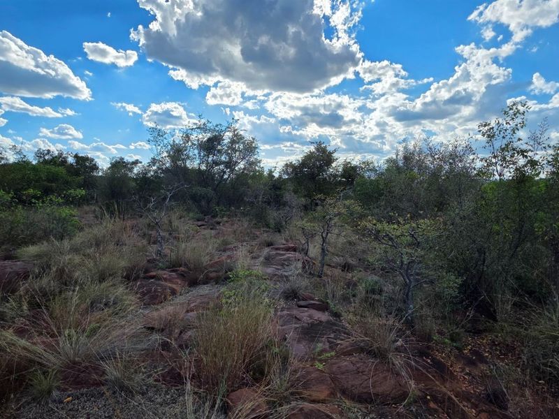 A view of the natural landscape featuring indigenous vegetation and exposed rock formations on the vacant residential land.