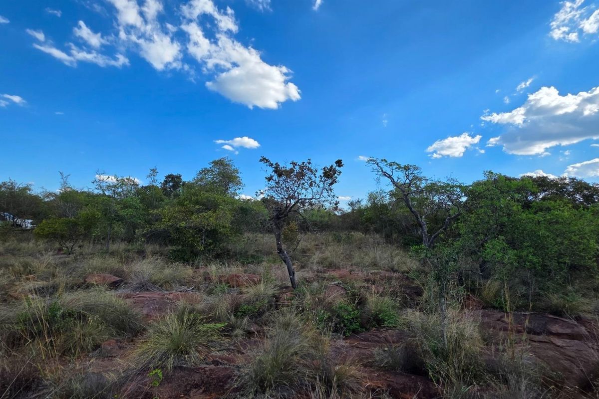 A view of the natural, undeveloped residential land featuring native trees, shrubs, and rocky ground cover under a clear blue sky.