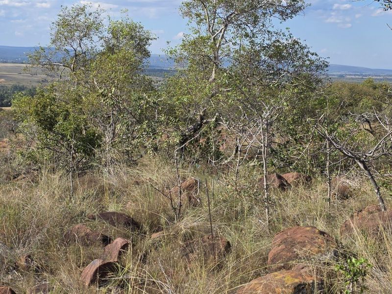 A scenic view of the natural landscape featuring rocky terrain and indigenous vegetation on this vacant residential property.