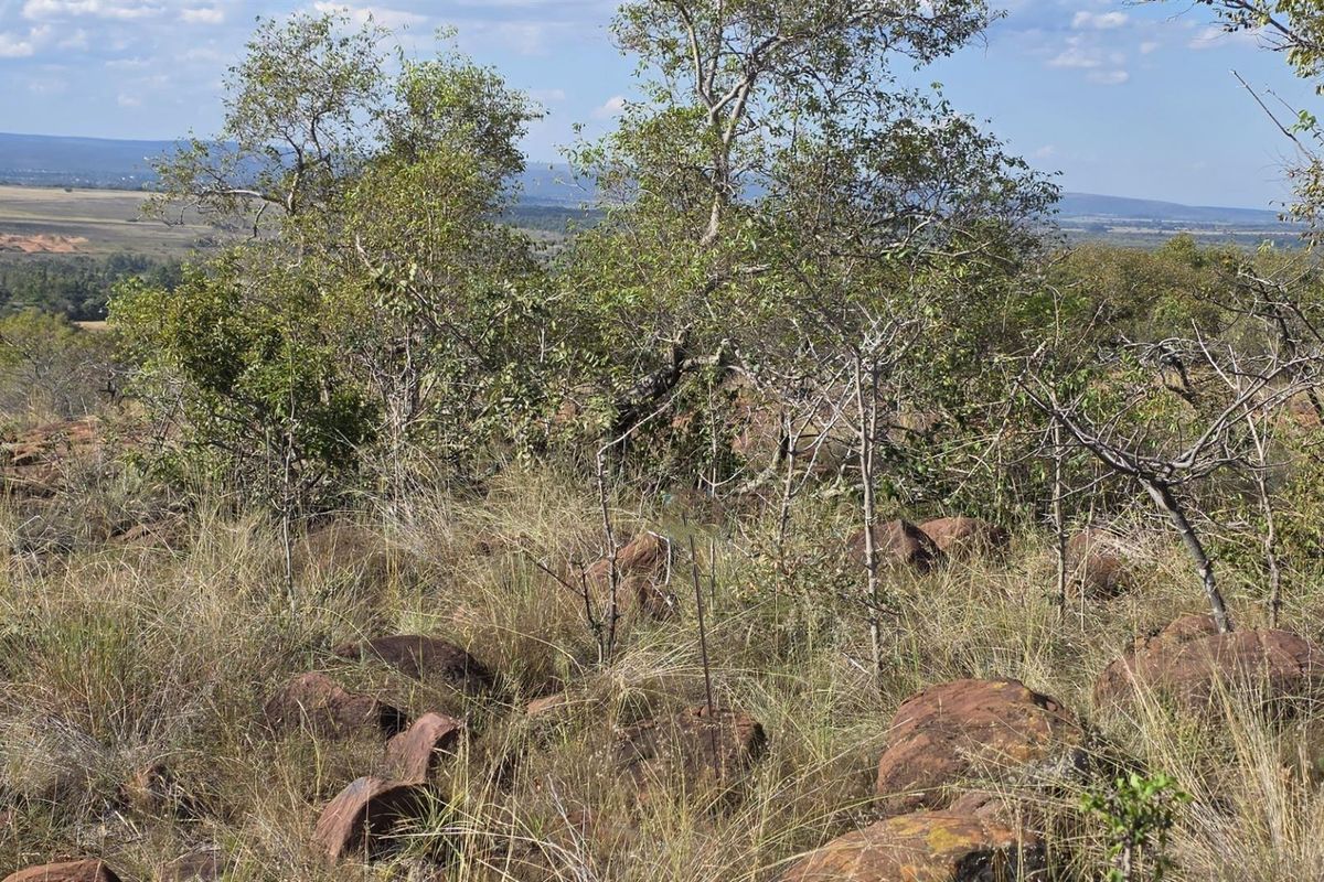 A scenic view of the natural landscape featuring rocky terrain and indigenous vegetation on this vacant residential property.