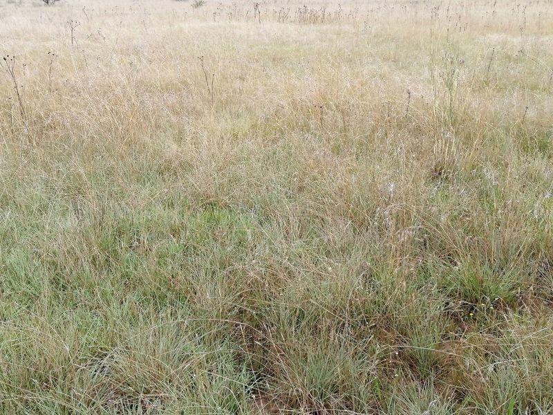 House For Sale in Vaalview, Vanderbijlpark - Photo 2