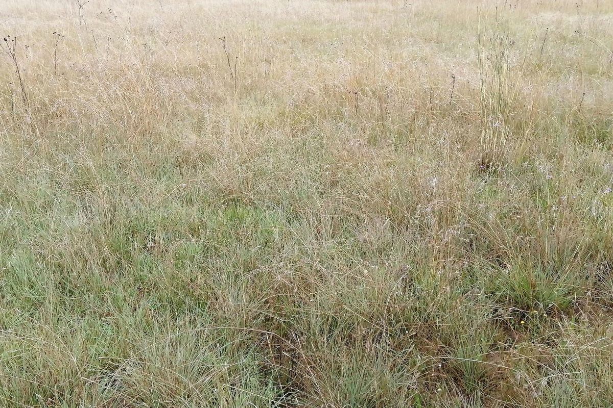 House For Sale in Vaalview, Vanderbijlpark - Photo 2