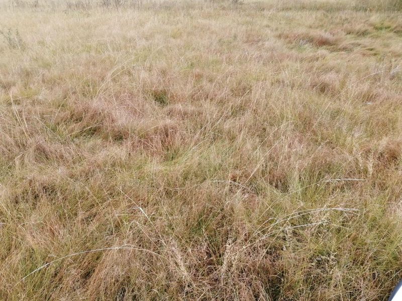 House For Sale in Vaalview, Vanderbijlpark - Photo 3