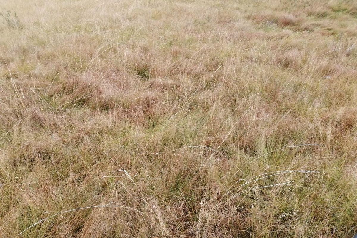 House For Sale in Vaalview, Vanderbijlpark - Photo 3