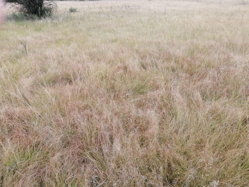 House For Sale in Vaalview, Vanderbijlpark - Photo 4