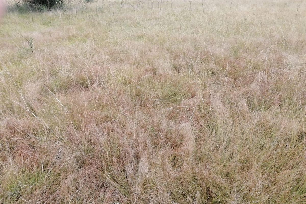 House For Sale in Vaalview, Vanderbijlpark - Photo 4