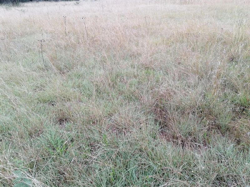 House For Sale in Vaalview, Vanderbijlpark - Photo 5