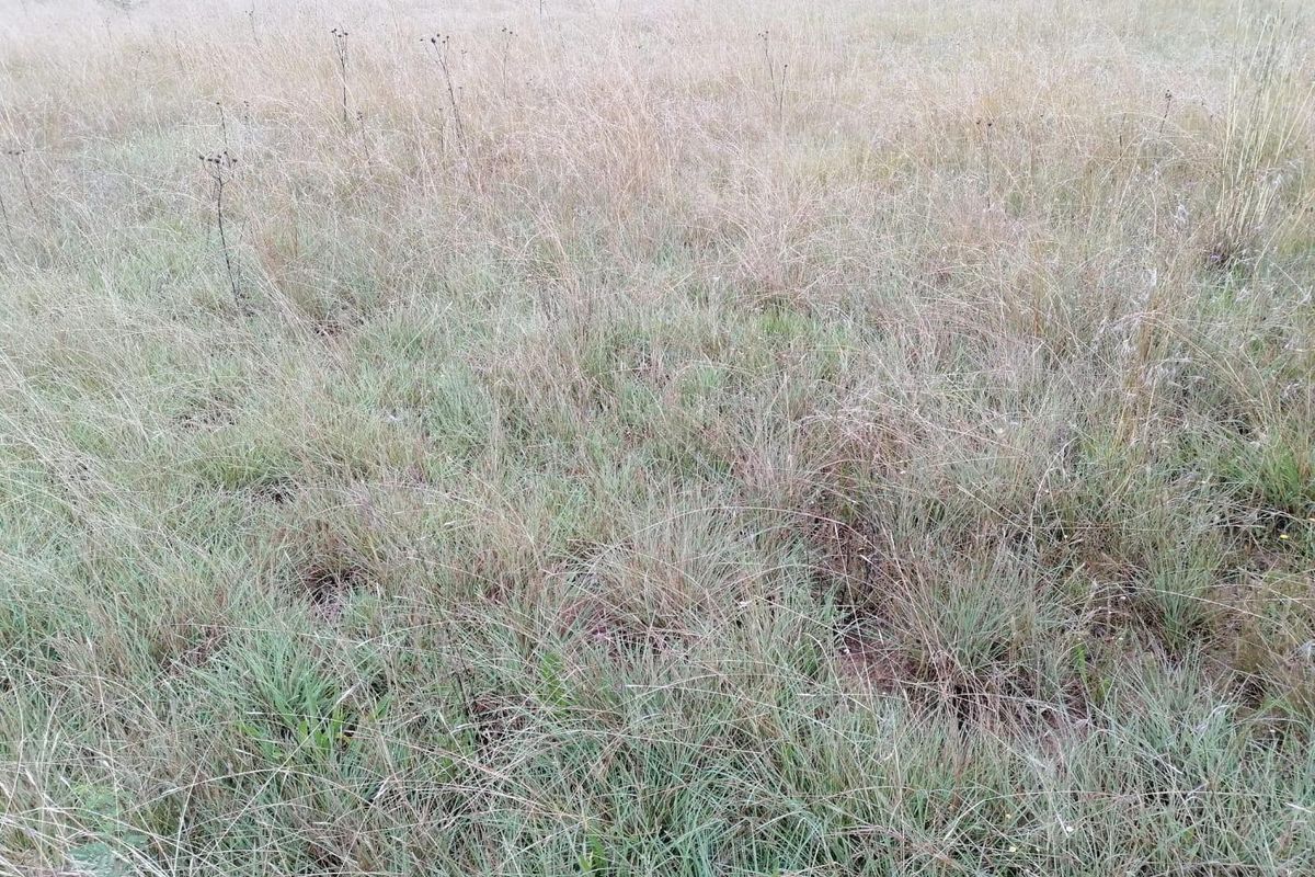 House For Sale in Vaalview, Vanderbijlpark - Photo 5