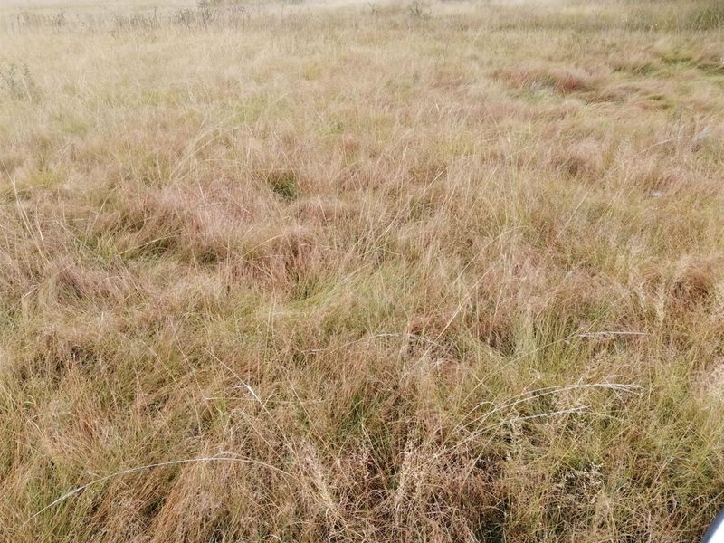 House For Sale in Vaalview, Vanderbijlpark - Photo 6