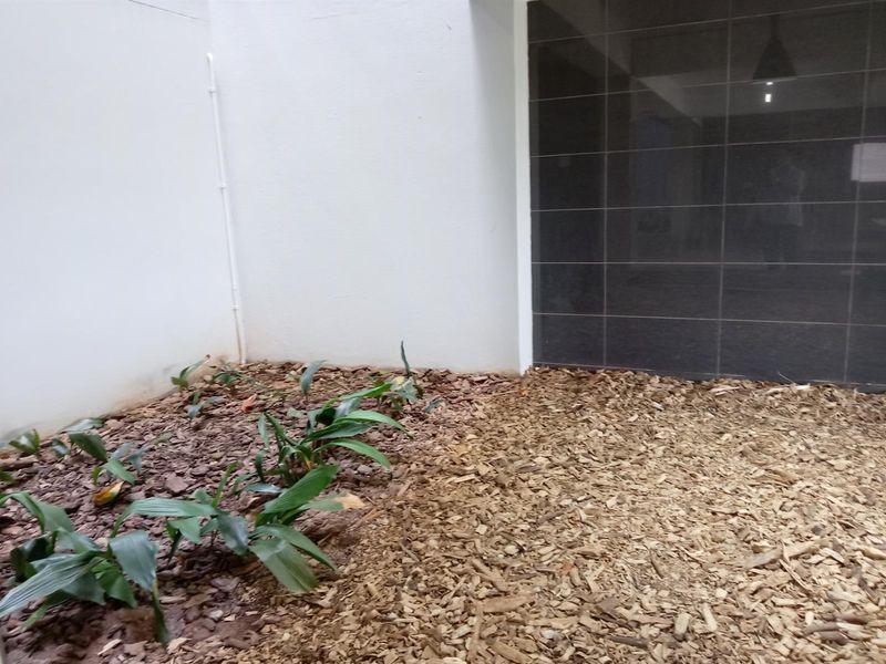 Apartment To Rent in Umhlanga Ridge, Umhlanga, KwaZulu Natal - Photo 8