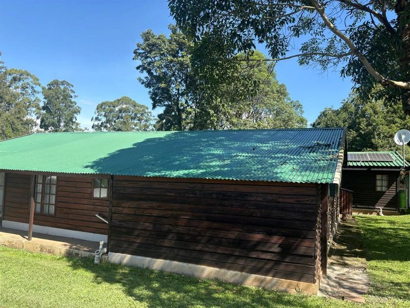 Rear view of a timber log cabin featuring a green corrugated metal roof, concrete foundation, and surrounding garden area.