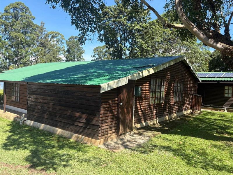 Exterior view of a timber log cabin featuring a green corrugated metal roof and concrete foundation, set within a garden area.