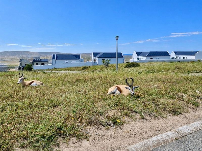 Secure Estate Living | Vacant Land in Hoogland, Saldanha - Photo 4