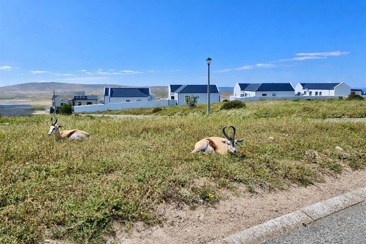 Secure Estate Living | Vacant Land in Hoogland, Saldanha - Photo 4