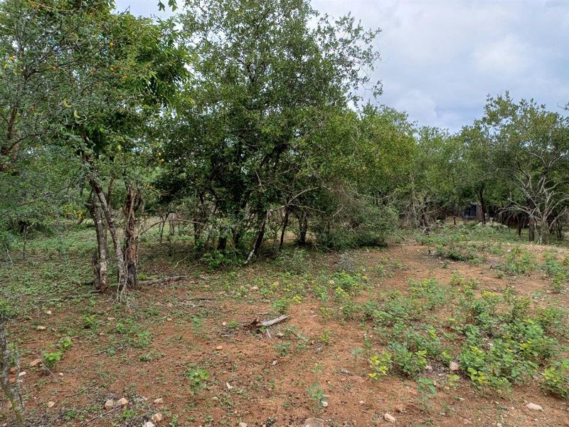 BEAUTIFULLY LOCATED CLOSE TO LIONSPRUIT - Photo 3