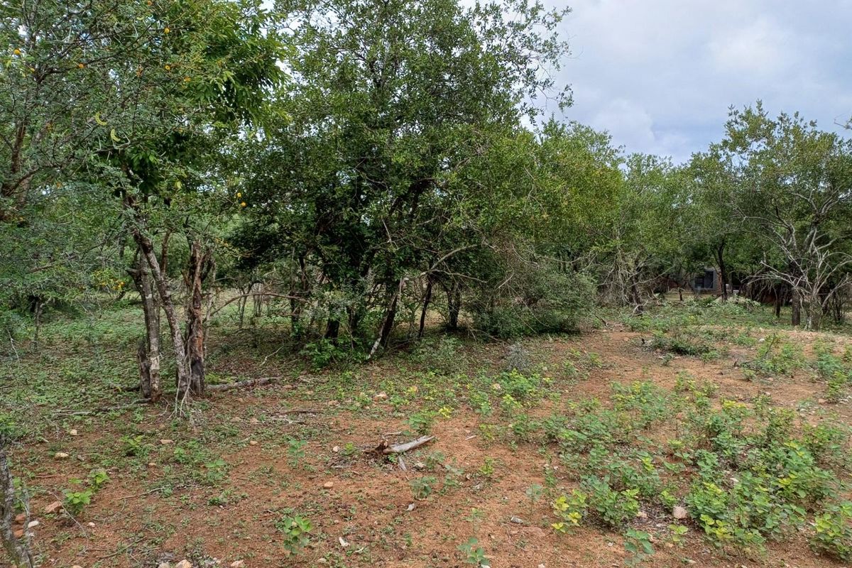 BEAUTIFULLY LOCATED CLOSE TO LIONSPRUIT - Photo 3