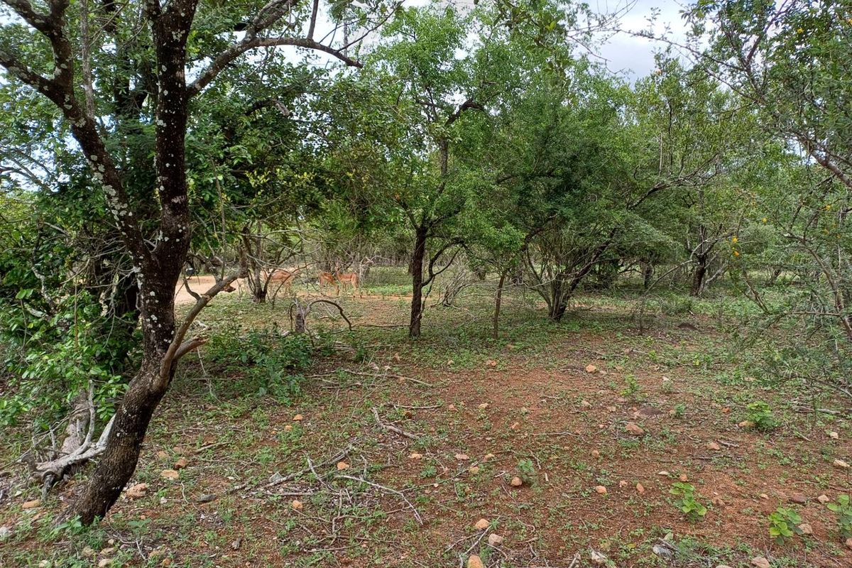 BEAUTIFULLY LOCATED CLOSE TO LIONSPRUIT - Photo 2