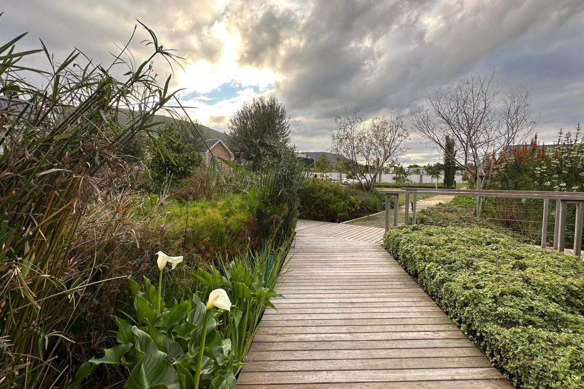 A landscaped garden pathway featuring a timber boardwalk, native plantings, and a wooden railing, providing a scenic outdoor walkway.