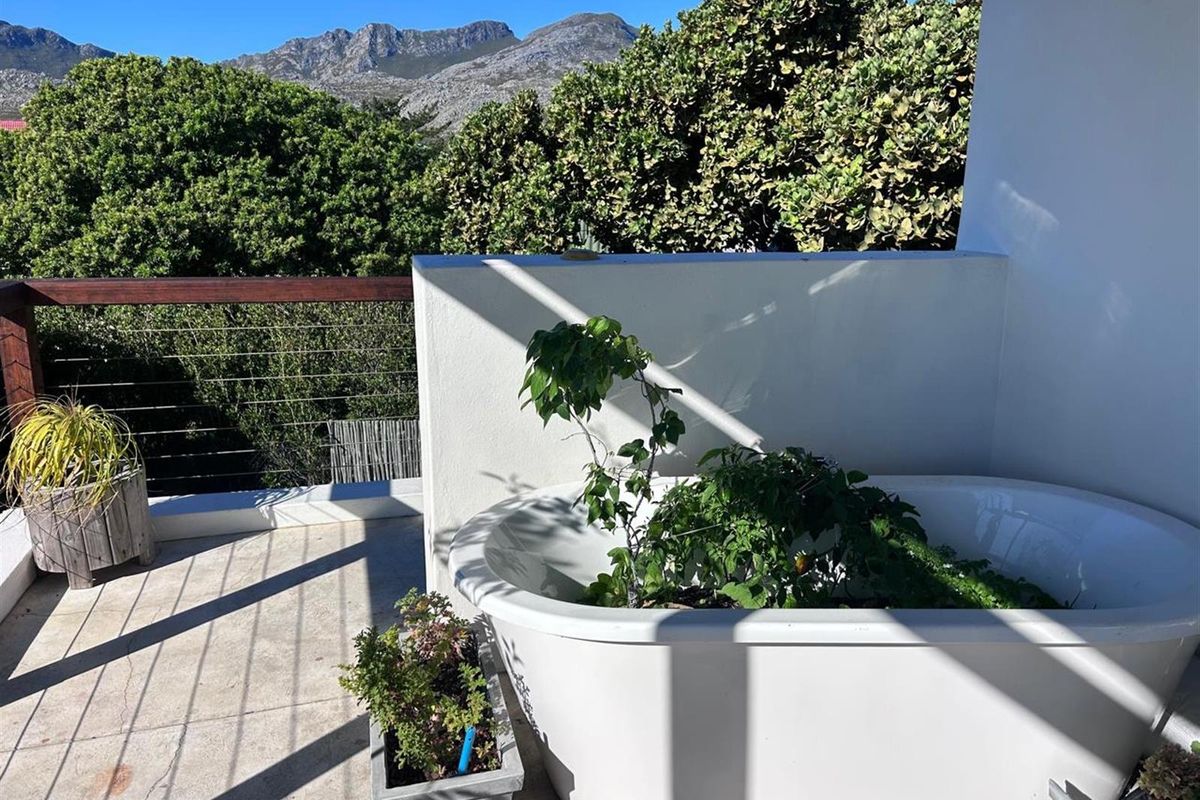 House for Sale - Photo 5