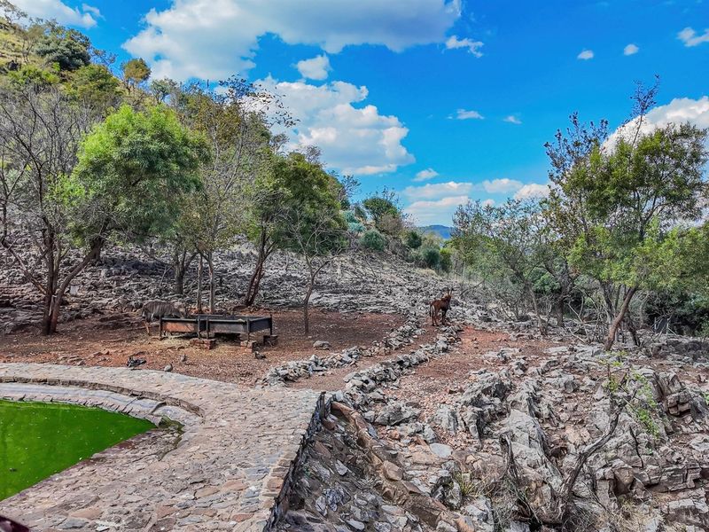 Outdoor pool area featuring natural stone paving and rugged landscape surroundings, requiring maintenance to restore the water quality and garden area.