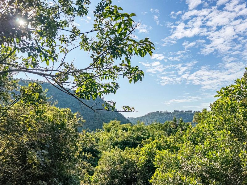 Shangri La, exclusive Boutique Hotel - Photo 9