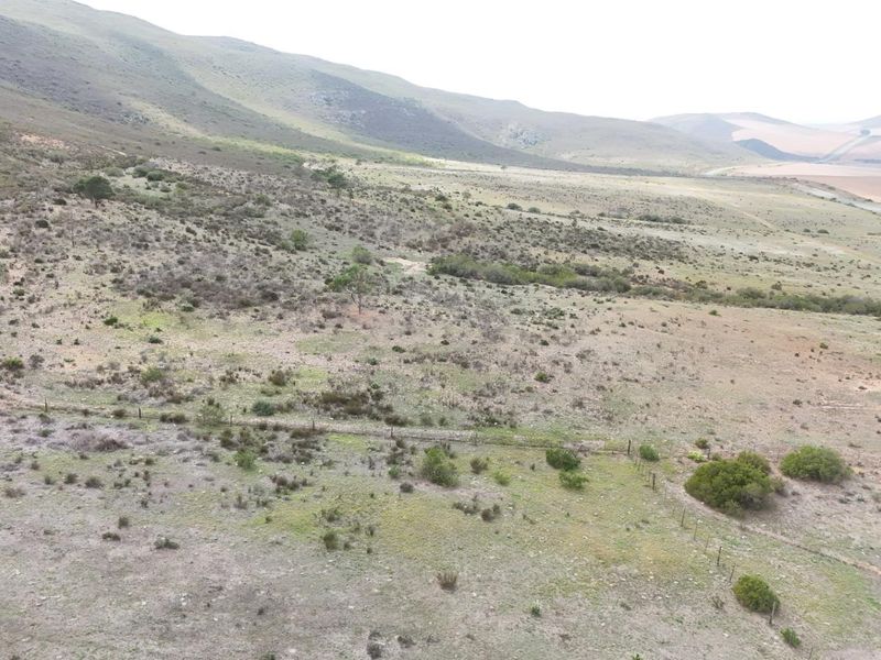 Farm For Sale in Swellendam - Vat Registered - Photo 10