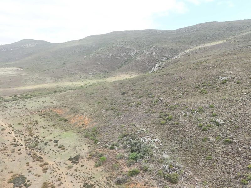Farm For Sale in Swellendam - Vat Registered - Photo 9