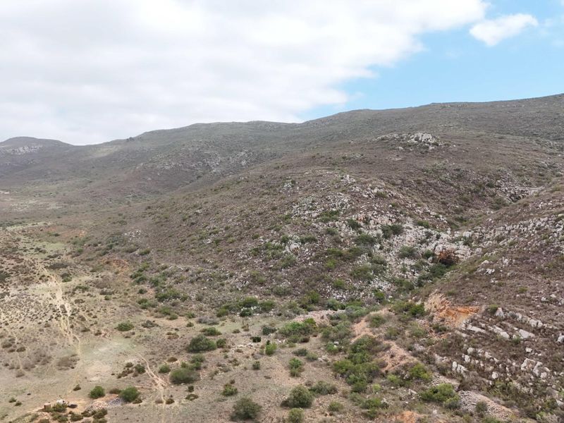 Farm For Sale in Swellendam - Vat Registered - Photo 7