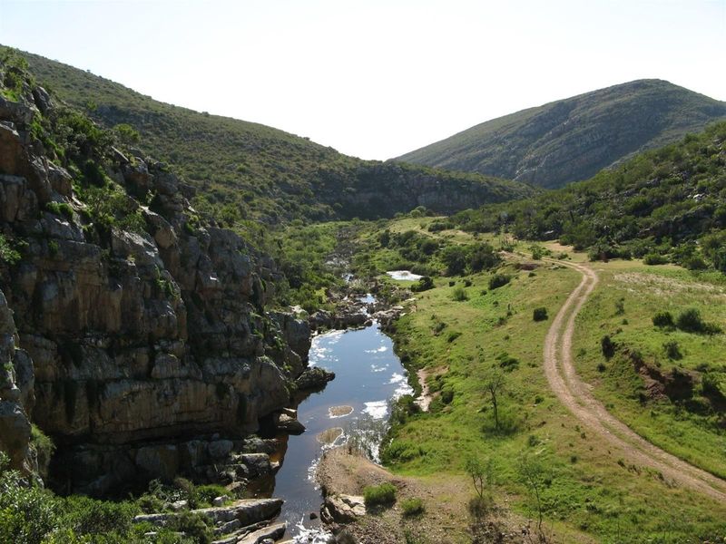 Farm For Sale in Swellendam - Vat Registered - Photo 6