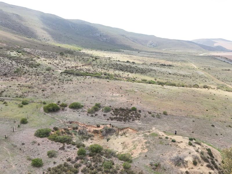 Farm For Sale in Swellendam - Vat Registered - Photo 2