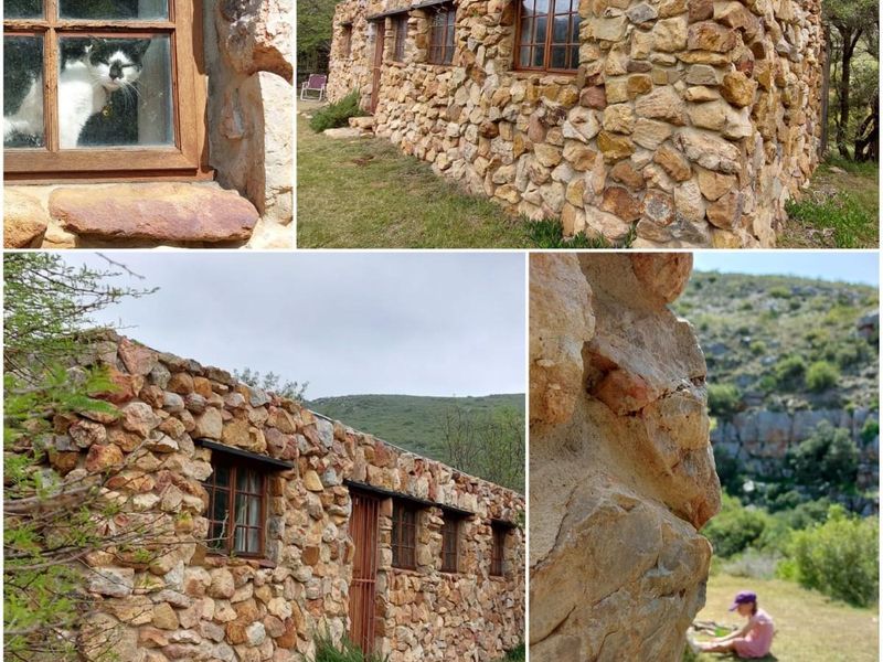 Farm For Sale in Swellendam - Vat Registered - Photo 4