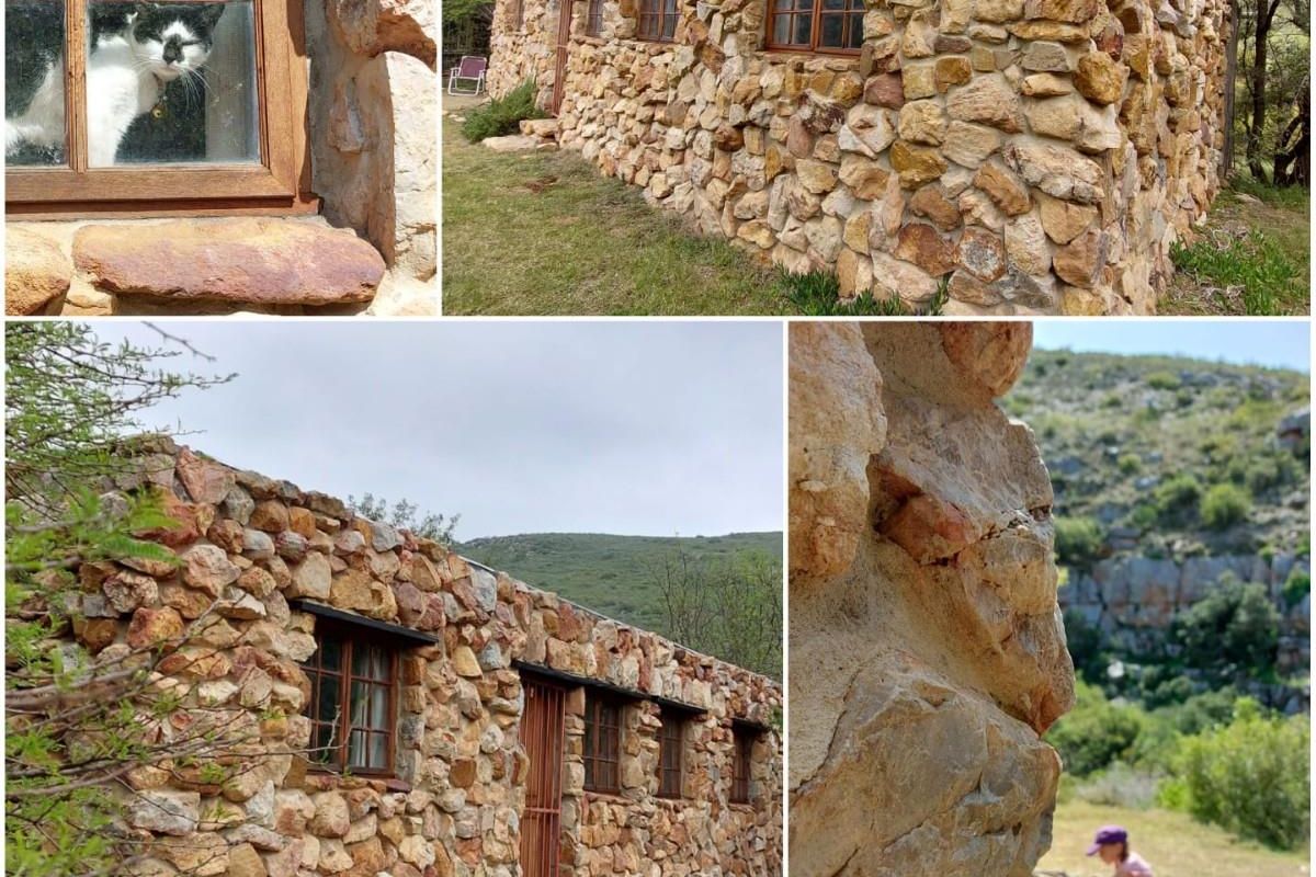 Farm For Sale in Swellendam - Vat Registered - Photo 4