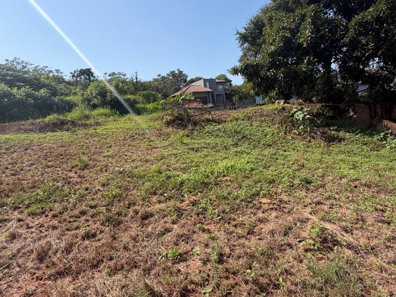 Stand for Sale at Mountain View - Photo 8