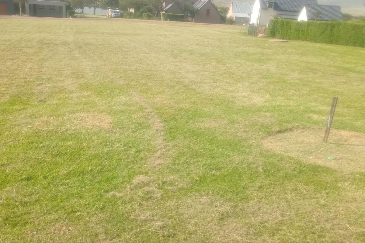 A wide, level residential plot featuring well-maintained lawn and perimeter hedging, suitable for future development.