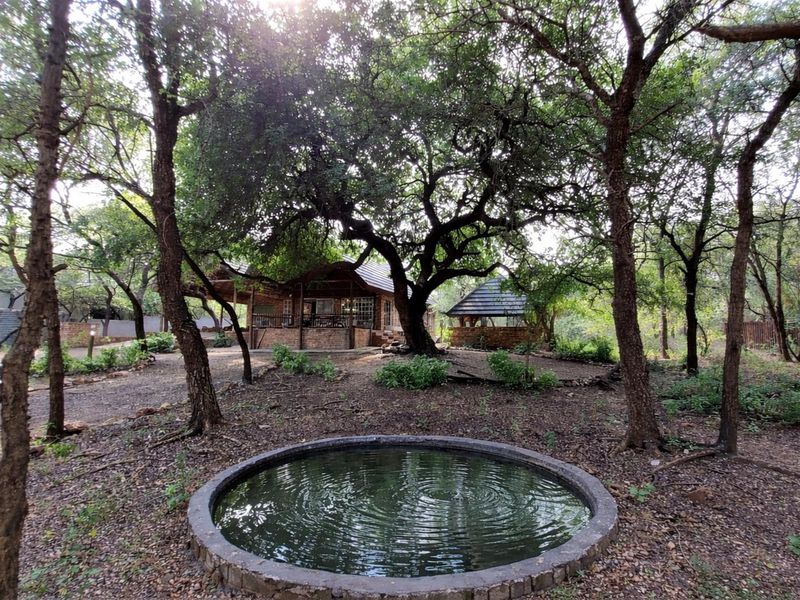 Where Luxury Meets the Wild - A Once-in-a-Lifetime Marloth Park Sanctuary - Photo 2