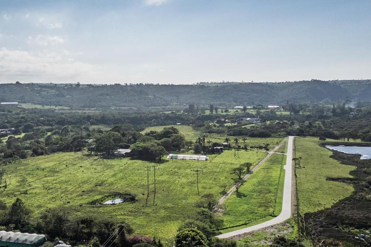 An aerial view of a large residential vacant land plot featuring open green fields, a paved road, and proximity to a water body.