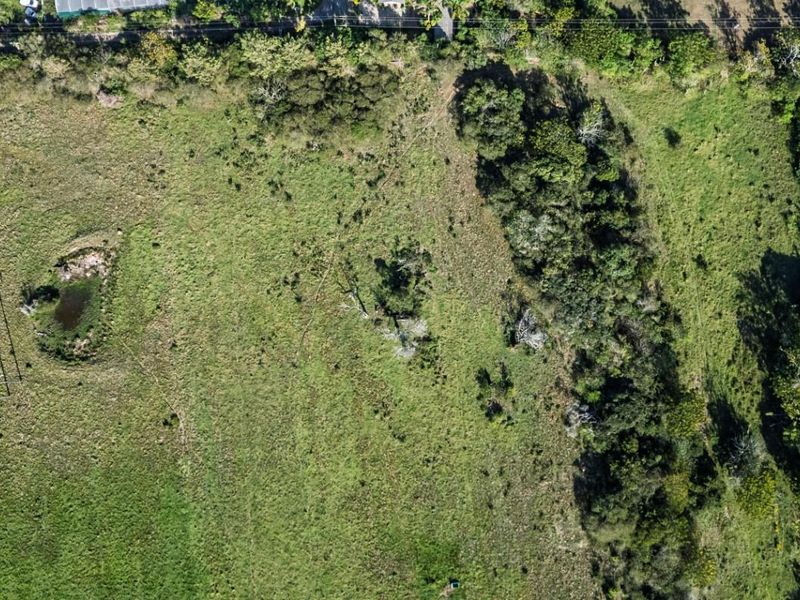 Aerial view of a vacant residential plot featuring open grassland, mature trees, and direct river frontage.