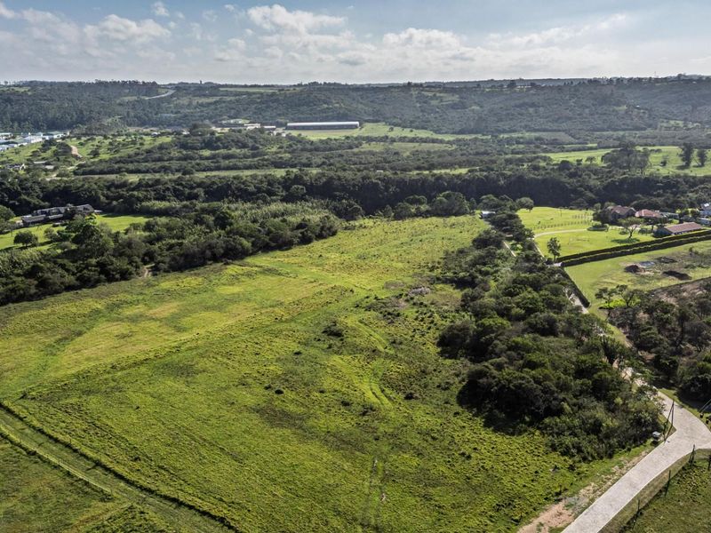 An aerial view of a large, undeveloped residential plot featuring expansive green space, natural vegetation, and access to a paved road.