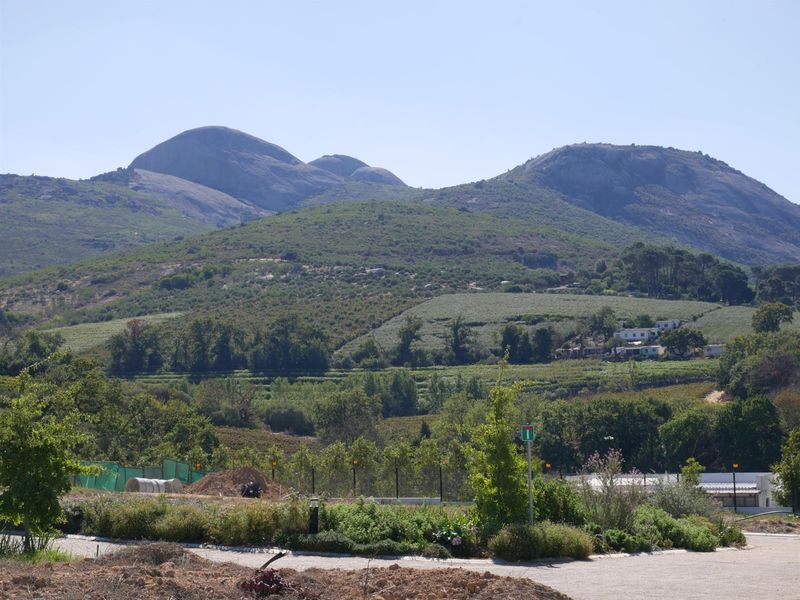 Well-positioned Vacant Stand in Laborie ET Picardie Estate - Photo 5