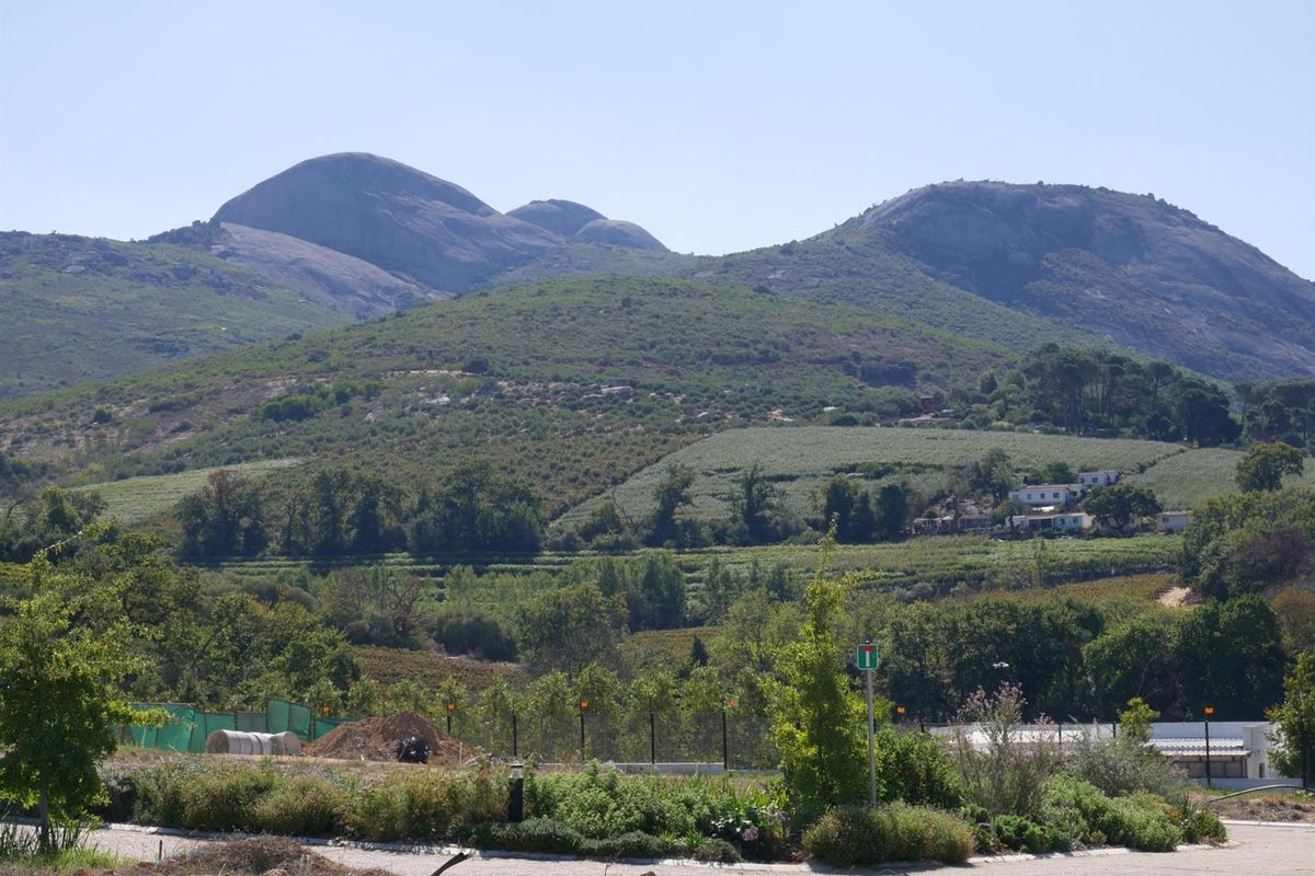 Well-positioned Vacant Stand in Laborie ET Picardie Estate - Photo 5