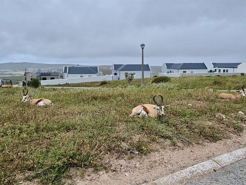 Prime 653m2 Stand with Stunning Bay Views in Hoogland Mountain Estate, Saldanha - Photo 4