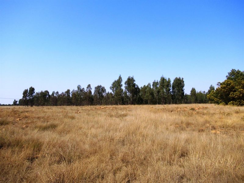 Farm For Sale in Bronkhorstspruit Rural, Bronkhorstspruit - Photo 9