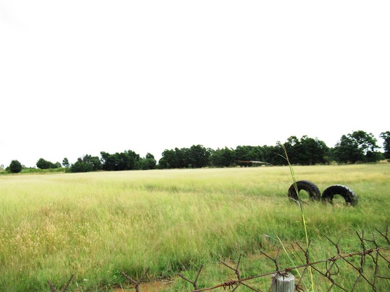 Farm For Sale in Bronkhorstspruit Rural, Bronkhorstspruit - Photo 8