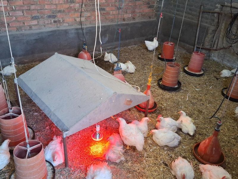 2 House Farm For Sale in Klerksdorp Rural, Klerksdorp, North West - Photo 8